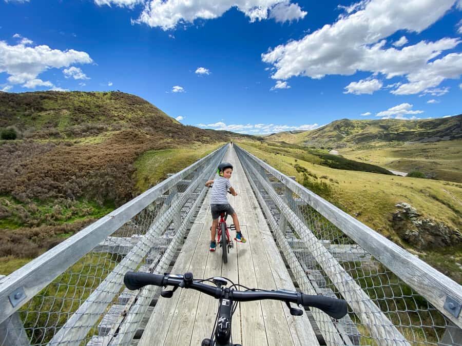 Dunedin: Scenic Railway Tour Through the Taieri Gorge - Why the Taieri Gorge Railway beats a road trip