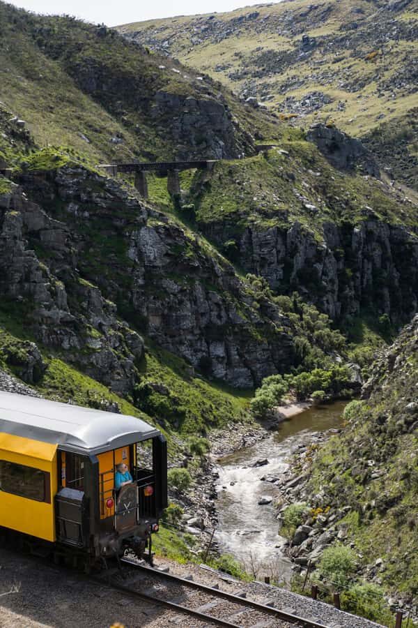 Dunedin: Scenic Railway Tour Through the Taieri Gorge - Who this train ride fits best
