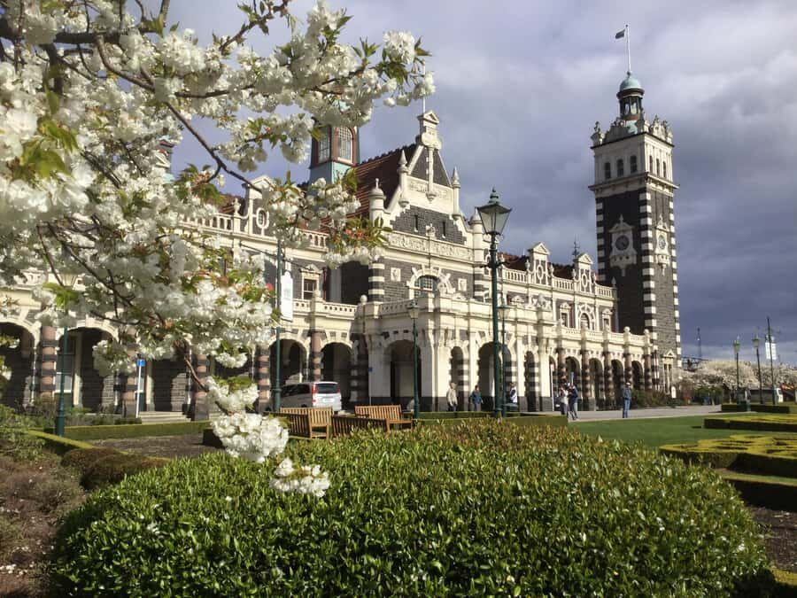 Dunedin: Small Group City Highlights Tour - Starting at the Octagon: your easy launch point