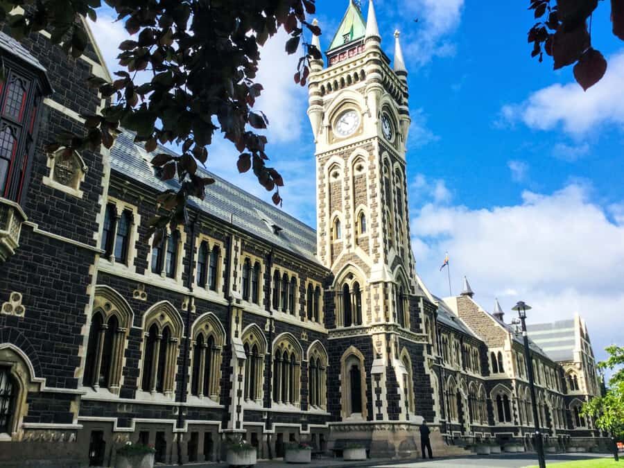 Dunedin: Small Group City Highlights Tour - Dunedin upper Botanic Garden: seasonal plants and giant rhododendrons