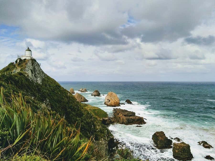 Dunedin to Te Anau via The Catlins & Invercargill 1 Way Tour - Key things that make this tour worth your time