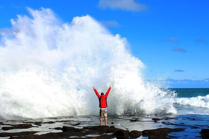 Dunedin to Te Anau via the Catlins One Way Small Group Tour - Key points that matter