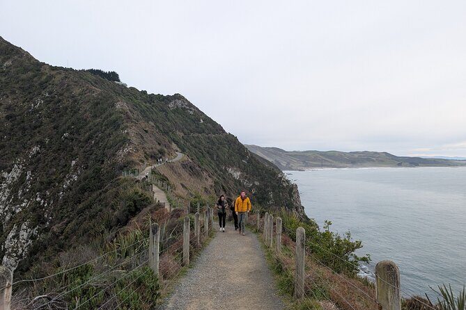 Dunedin to Te Anau via the Catlins One Way Small Group Tour - Papatowai lunch plus Lost Gypsy Caravan’s kinetic art