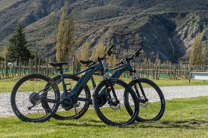 E-Bike Adventures Through the Wineries in Gibbston - Bungy-jumping viewing: thrill-zone energy, without the pressure