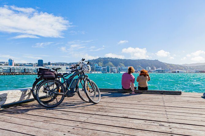 Easy Rider Two-Hour Wellington eBike Tour - Zephyrometer in Evans Bay: wind sculpture meets local energy stories
