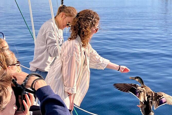 Eco Sailing Tour to Maori Rock Carvings on Lake Taupo - Price and value: what $42.82 gets you in real life