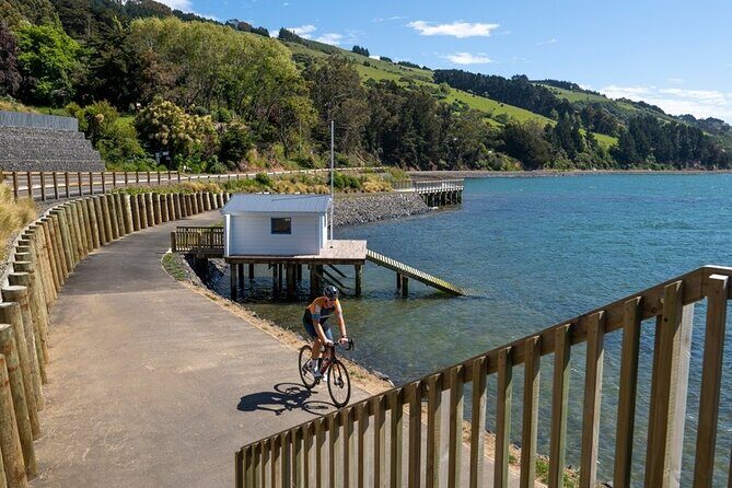Electric Bike Rental - Choosing your route on the Harbour Cycle Loop: Portobello side or Port Chalmers side