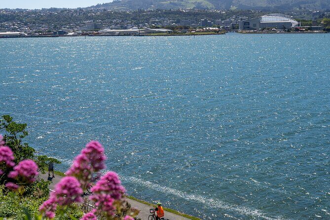 Electric Bike Rental - Otago Peninsula riding: green hilltops, blue-water views, and wind at speed