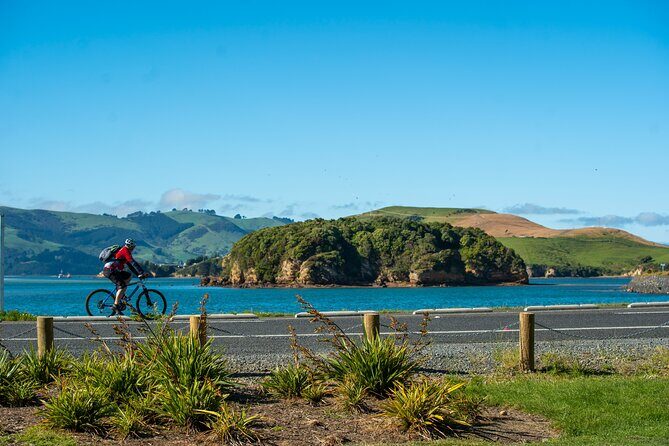 Electric Bike Rental - Your e-bike basics: fit, helmet, and battery reality