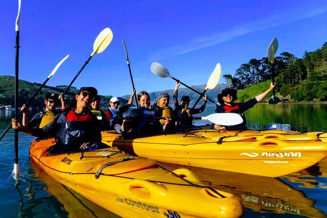 Electric Mountain Bike & Sea Kayak Tour in Akaroa - Sea kayaking in the marine reserve: birds, wind, and calm coaching