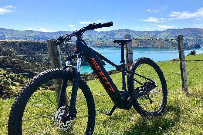 Electric Mountain Bike & Sea Kayak Tour in Akaroa - Fitness reality check: who will love the effort
