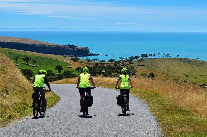Electric Mountain Bike & Sea Kayak Tour in Akaroa - Timing and logistics: how to plan your Akaroa day