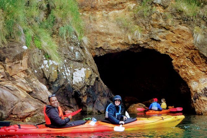 Electric Mountain Bike & Sea Kayak Tour in Akaroa - Electric mountain bikes on the Lava Loop: Crater-top payoff