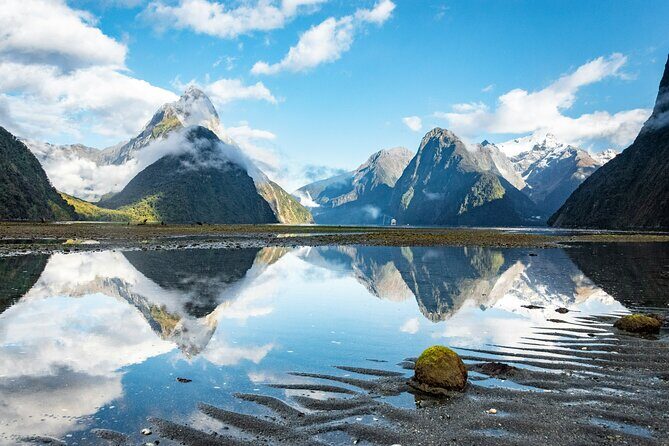 Epic Milford Guided Tour from Te Anau - Monkey Creek wildlife stop: chances at whio/blue duck and kea