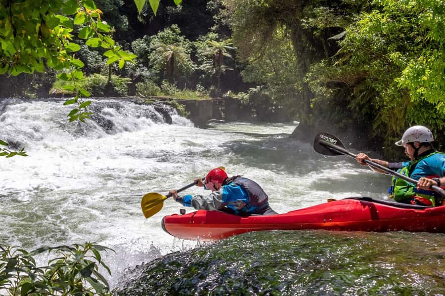 Epic Tandem Kayak Tour down the Kaituna River Waterfalls - 6 Key Things That Make This Kaituna Tandem Kayak Tour Special