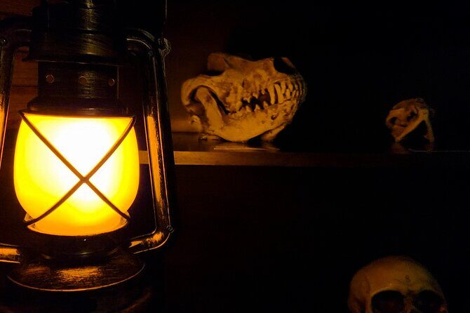Escape Room Experience Taupo - The Cursed Cabin - Your Time: The 60-Minute Run and Difficulty Choices
