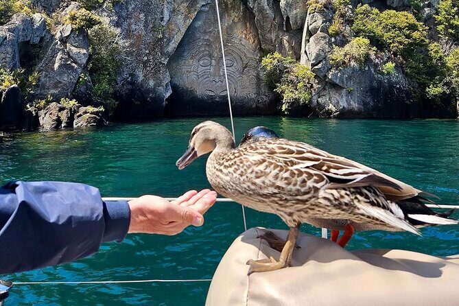 Evening Eco Sailing Adventure to Māori Rock Carvings Lake Taupō - Should you book Sail Barbary’s eco-sailing for the Māori rock carvings?