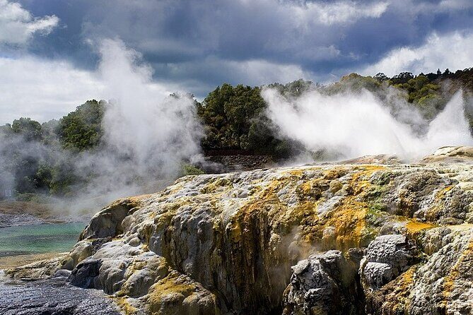 Ex Auckland: Rotorua Māori Village with Haka and Hot Springs - Whakarewarewa Māori Village: geothermal steam and local stories in a living community