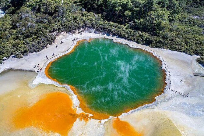 Ex Hamilton: TRIPLE DEAL Wai O Tapu, Redwood Forest & Blue Spring - Key highlights worth showing up for