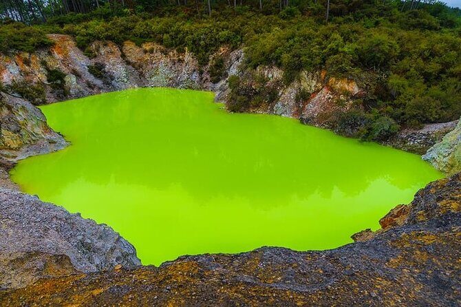 Ex Hamilton: TRIPLE DEAL Wai O Tapu, Redwood Forest & Blue Spring - A packed geothermal-to-trees day from Hamilton