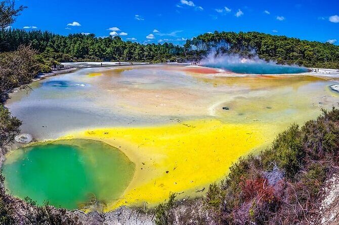 Ex Hamilton: TRIPLE DEAL Wai O Tapu, Redwood Forest & Blue Spring - Rotorua redwoods in the Whakarewarewa Forest: calm after the steam