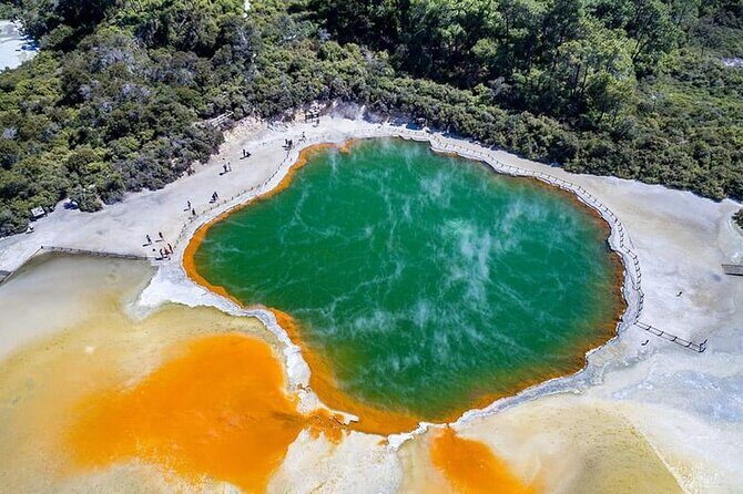 Ex Hamilton: TRIPLE DEAL Wai O Tapu, Redwood Forest & Blue Spring - Price and value: is $204.17 a good deal?