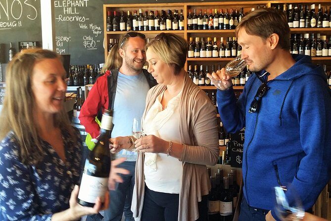 Exclusive Picton Wine & Scenic Adventure: VIP Cruise Experience - Stop 2: Clos Henri for a French-Style Wine Taste