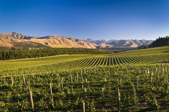 Exclusive Picton Wine & Scenic Adventure: VIP Cruise Experience - Pickup, Mobile Tickets, and How the Day Runs