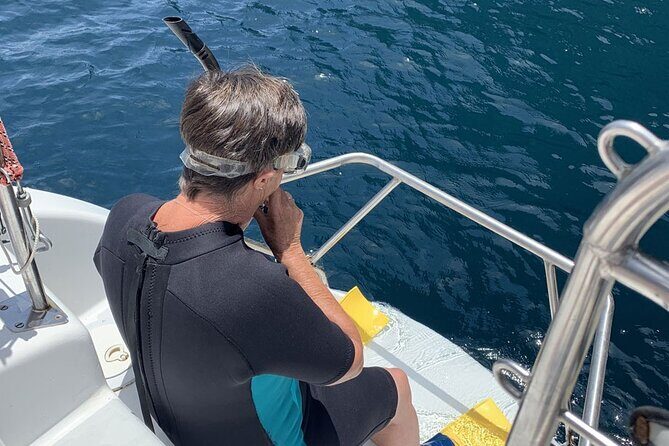 Exclusive Sailing Charter from Waiheke Island - Stop 2 in the Hauraki Gulf: glide time, seabirds, and whale chances