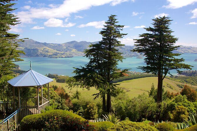 Explore Dunedin: Self-Guided Audio Tour Adventure - Gear, offline audio, and the one lesson that matters