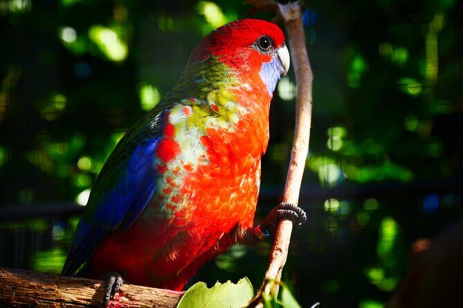 Explore gardens & galleries filled with incredible art, Matakana - Food, Coffee, and Wine Samples to Close the Loop