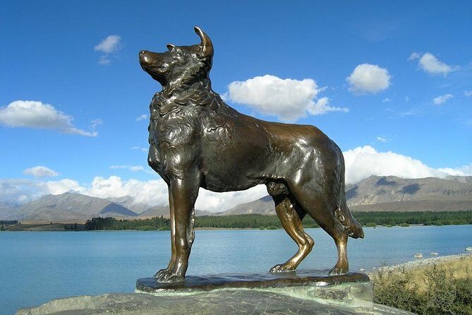 Explore Mount Cook from Christchurch - Optional scenic flight or ski-plane landing: worth it if you can swing it