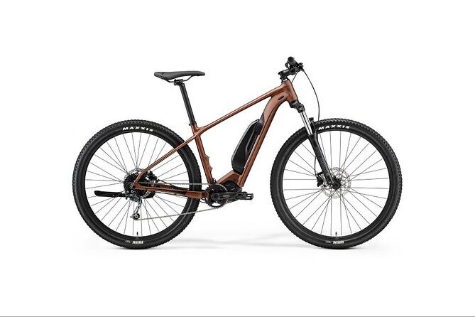 Explore Queenstown's Scenic Trails with an Electric Bike - Price and value: what $55.85 buys you in practice