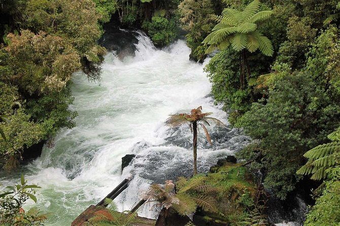 Explore The Lakes Tour - Lake Rotokakahi: blue and green side by side with fern trees