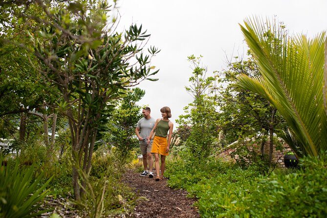 Explore the legacy of artist, ecologist, architect, visionary - The Afforested Roof: the 360 views are the main event