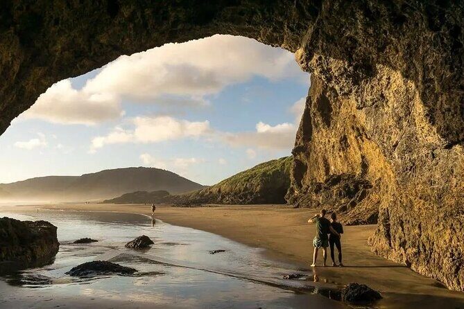 Explore West Auckland with Winery - Key Highlights You’ll Care About