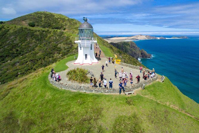 Far North New Zealand Tour Including 90 Mile Beach and Cape Reinga from Paihia - Key Highlights You’ll Feel From Start to Finish