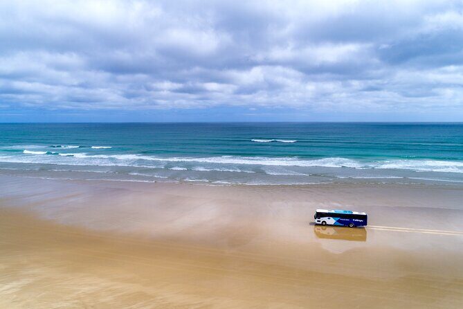 Far North New Zealand Tour Including 90 Mile Beach and Cape Reinga from Paihia - Setting Off From Paihia: The Part Everyone Needs to Plan