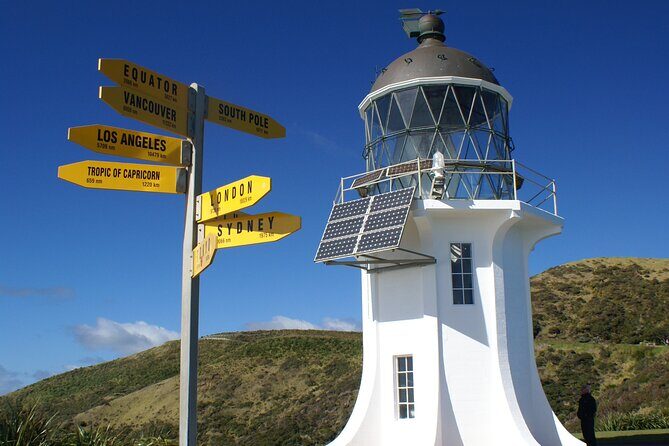 Far North New Zealand Tour Including 90 Mile Beach and Cape Reinga from Paihia - Lunch, Toilets, and the Real Comfort Stuff