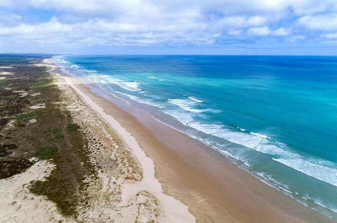 Far North New Zealand Tour Including 90 Mile Beach and Cape Reinga from Paihia - What to Pack: Sand, Sun, and a Change of Clothes