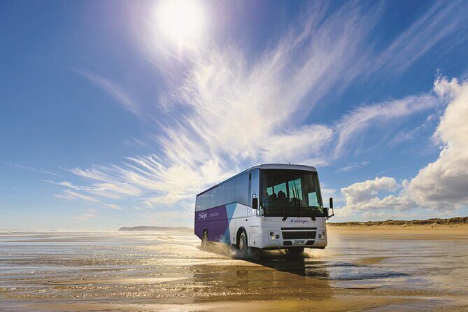 Far North New Zealand Tour Including 90 Mile Beach and Cape Reinga from Paihia - Cape Reinga Lighthouse: Where the Oceans Meet