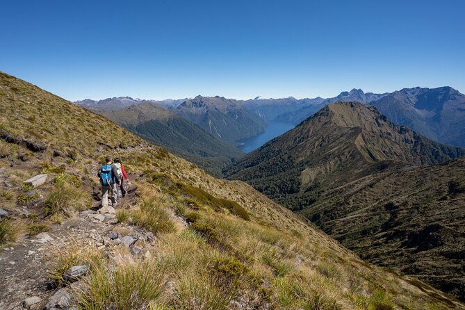 Fiordland Heli-hike from Te Anau - Why this Fiordland heli-hike is worth your money