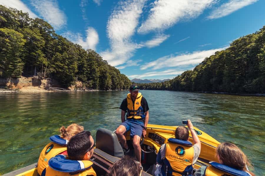 Fiordland: Jet Boat & Nature Walk Experience from Te Anau - Trout in crystal-clear water and photo-friendly pause stops