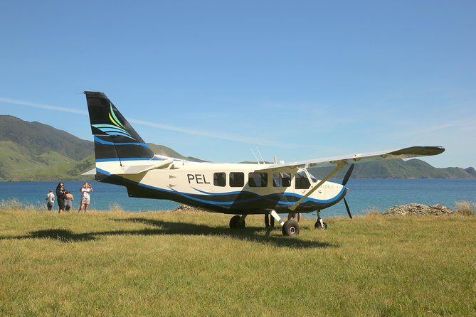 Flight Experience our Water and Wilderness Scenic Tour - Queen Charlotte Sound views and the walking-track moment