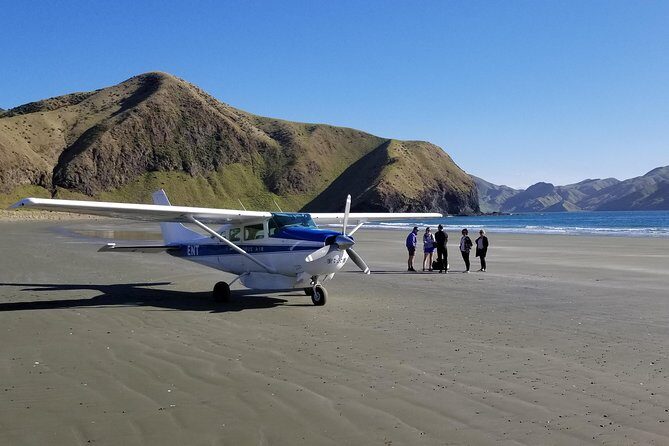 Flight Experience our Water and Wilderness Scenic Tour - Tuatara country: seeing dinosaur-age survivors in the Sounds