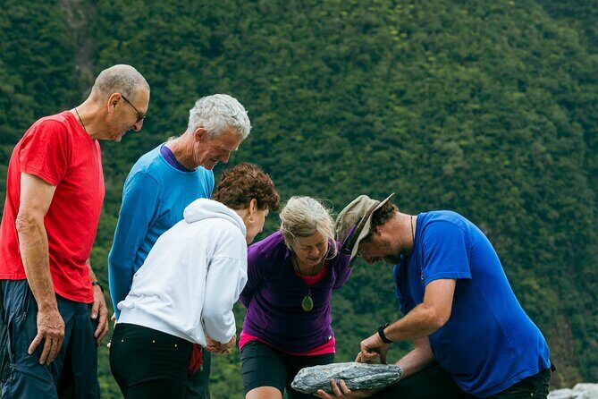 Fox Glacier Nature Tour - Why this Fox Glacier nature walk beats the quick roadside stop