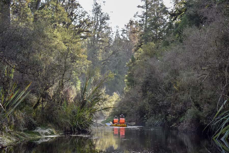 Franz Josef: 3-Hour Kayak Tour on Lake Mapourika - Waterproof comfort: the gear that changes everything on a wet day