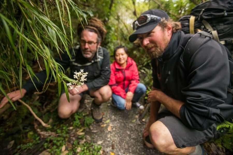 Franz Josef: Franz Josef Glacier Lookout Guided Walk - Weather-Proof Comfort in a Place That Loves Rain