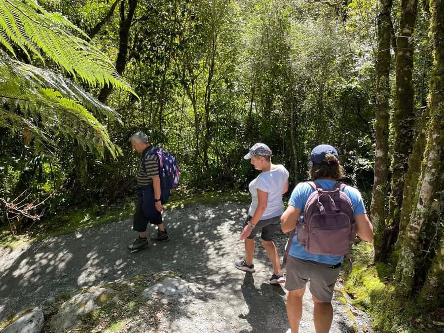 Franz Josef: Franz Josef Glacier Lookout Guided Walk - Who Should Book This Walk (and Who Might Skip It)