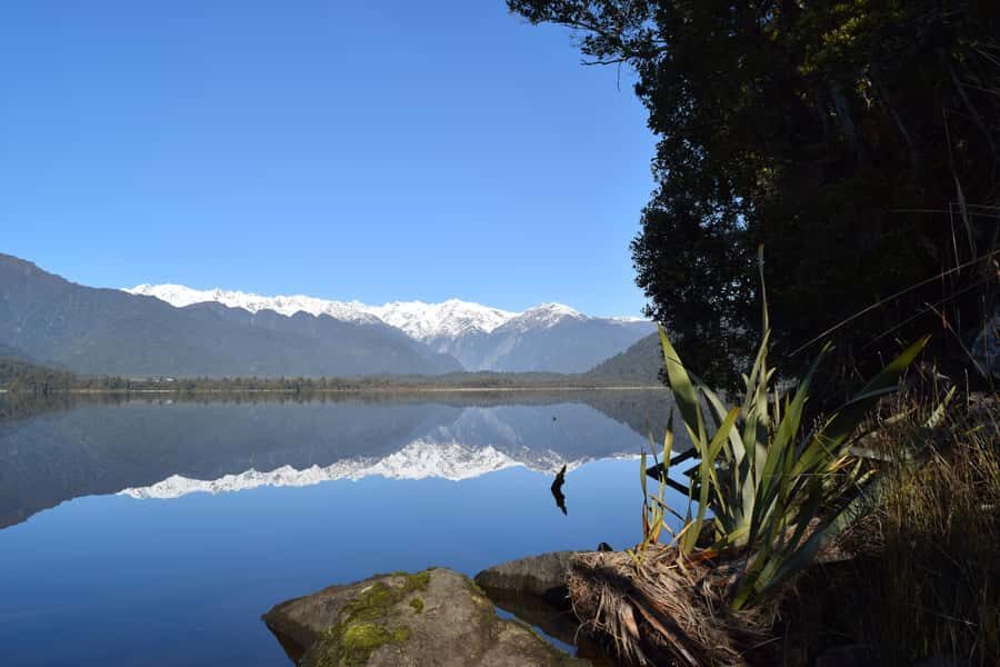 Franz Josef Glacier: 2.5-Hour Lake Mapourika Cruise and Walk - Price and value: is $89 per person fair?